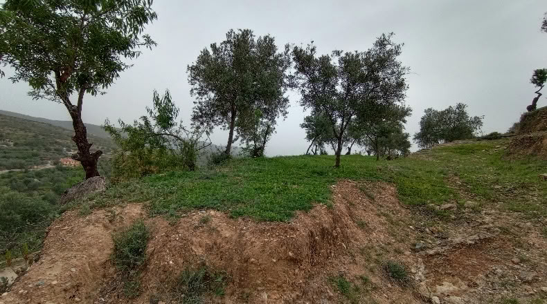 Granada - Albuñuelas - 5000m2