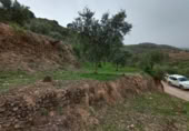 Terreno no urbanizable en venta en la Cimbra, Albuñuelas, ref: TR368116 foto