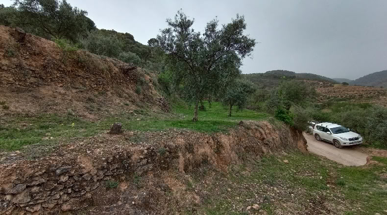 Granada - Albuñuelas - 5000m2