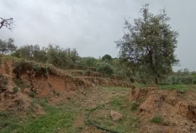 Albuñuelas 5000&nbsp;м²