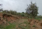 Terreno no urbanizable en venta en la Cimbra, Albuñuelas, ref: TR368116 foto