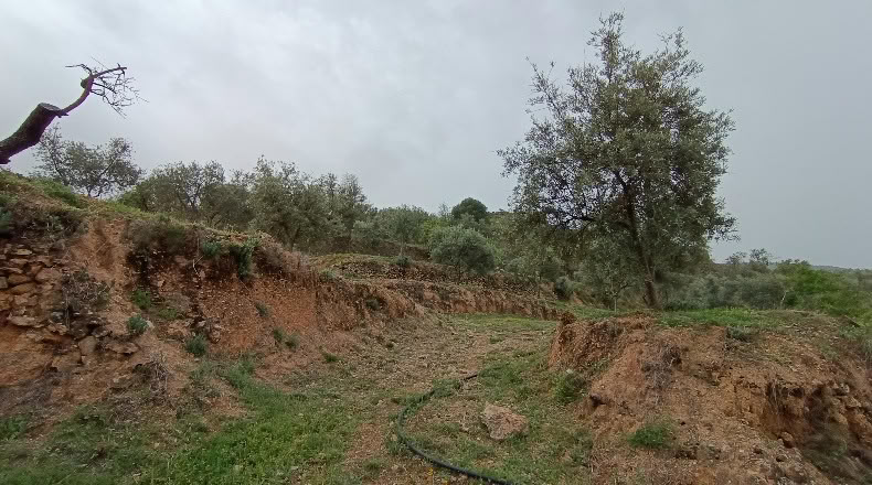 Granada - Albuñuelas - 5000m2