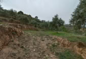 Terreno no urbanizable en venta en la Cimbra, Albuñuelas, ref: TR368116 foto