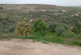 Albuñuelas 5000&nbsp;м²