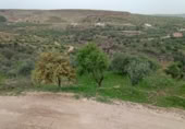 Terreno no urbanizable en venta en la Cimbra, Albuñuelas, ref: TR368116 foto