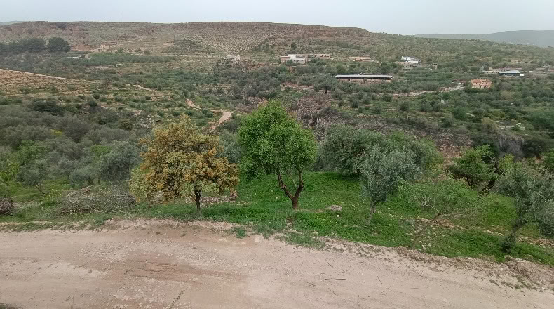 Granada - Albuñuelas - 5000m2