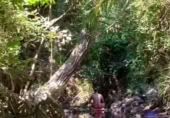 Non-developable land for sale on Ceal, ref: TR356900 photo