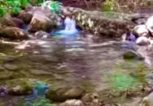 Non-developable land for sale on Ceal, ref: TR356900 photo