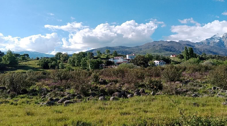 Авила - Candeleda - 24662m2