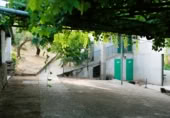 Finca rústica en venta en la AV-P-716, Candeleda, ref: TR368763 foto