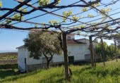 Finca rústica en venta en la AV-P-716, Candeleda, ref: TR368763 foto