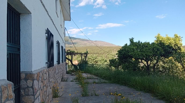 Авила - Candeleda - 24662m2