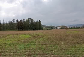 Màlaga 4000&nbsp;m² 