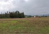 Non-developable land for sale on Calle Severo Ochoa, Málaga, ref: TR368768 photo