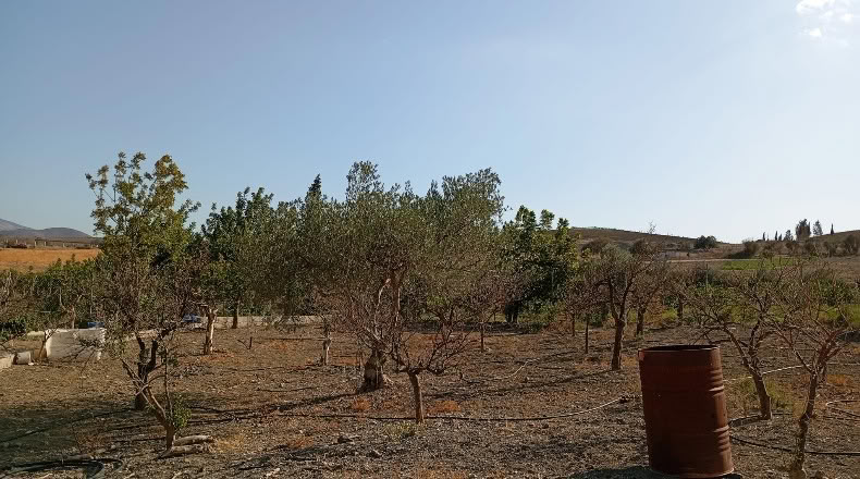 Málaga - Pizarra - 4000m2