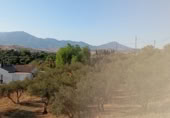 Chalet independiente con terreno en venta en la camí del Piló de la Creu, Coín, ref: TR368773 foto