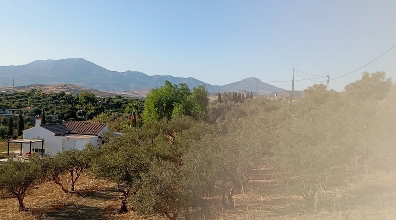 Málaga - Coín - 6000m2