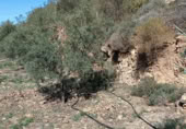Terreny no urbanitzable en venda a la Carril Ermita de Verdiales, Màlaga, ref.: TR368774 foto
