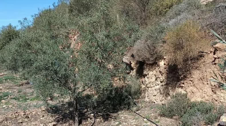 Málaga - Málaga - 5880m2