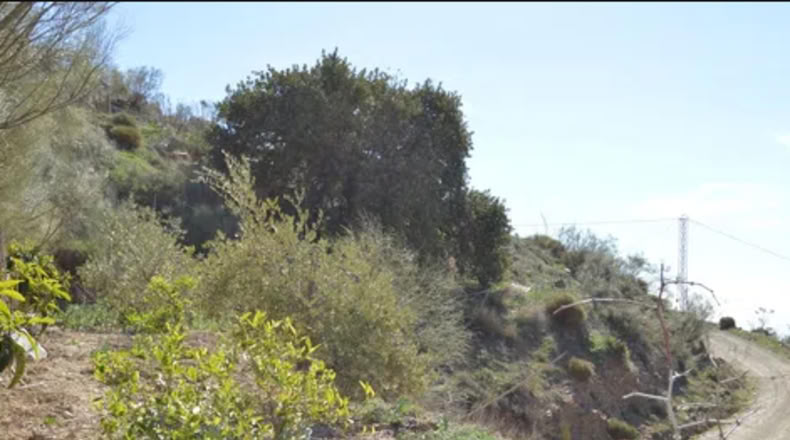 Málaga - Málaga - 5880m2