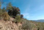 Terreny no urbanitzable en venda a la Carril Ermita de Verdiales, Màlaga, ref.: TR368774 foto