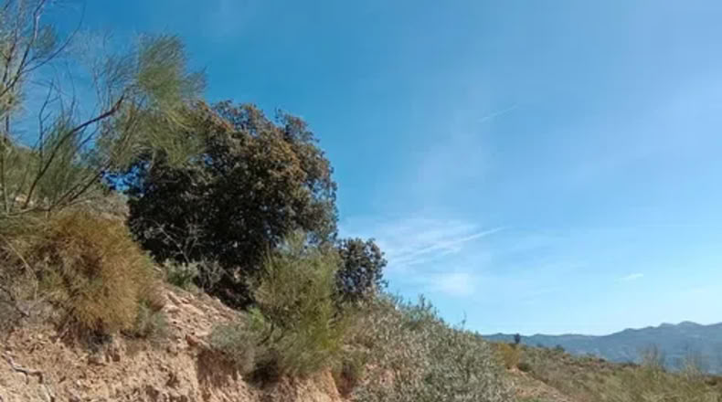 Málaga - Málaga - 5880m2