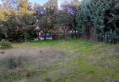 Sòl urbà en venda a la Calle Los Chopos, Villanueva de la Cañada, ref.: TR369776 foto