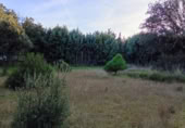Sòl urbà en venda a la Calle Los Chopos, Villanueva de la Cañada, ref.: TR369776 foto