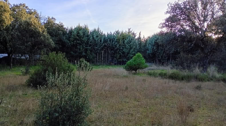 Community of Madrid - Villanueva de la Cañada - 4100m2