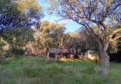 Sòl urbà en venda a la Calle Los Chopos, Villanueva de la Cañada, ref.: TR369776 foto