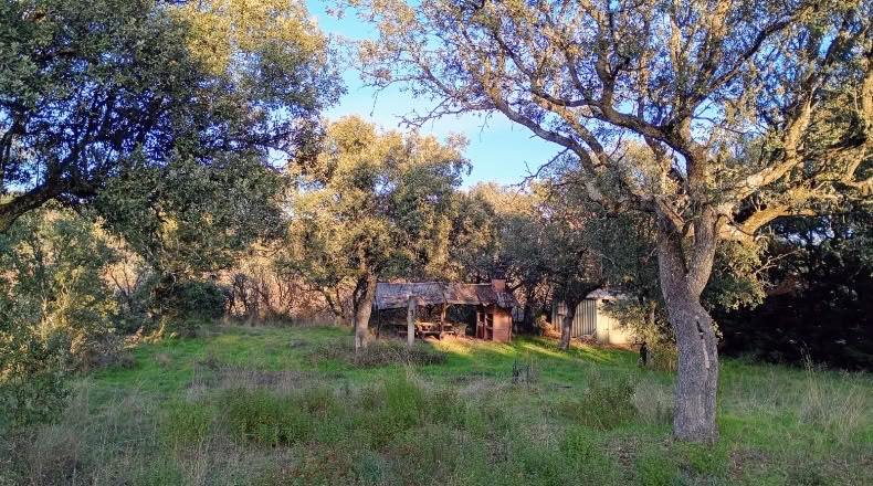 Community of Madrid - Villanueva de la Cañada - 4100m2