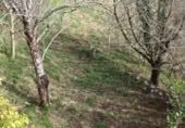 Sòl urbà en venda a la N-632, Berbes, ref.: TR369821 foto