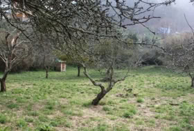 Berbes 4314&nbsp;м²