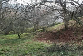 Berbes 4314&nbsp;м²