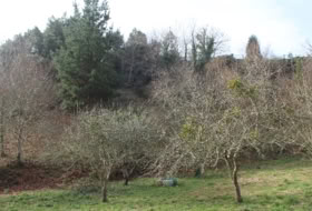 Berbes 4314&nbsp;м²