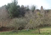 Sòl urbà en venda a la N-632, Berbes, ref.: TR369821 foto
