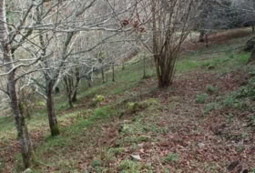 Berbes 4314&nbsp;м²