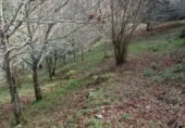 Sòl urbà en venda a la N-632, Berbes, ref.: TR369821 foto
