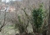 Sòl urbà en venda a la N-632, Berbes, ref.: TR369821 foto