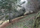 Sòl urbà en venda a la N-632, Berbes, ref.: TR369821 foto