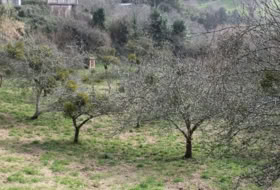 Berbes 4314&nbsp;м²