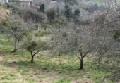 Sòl urbà en venda a la N-632, Berbes, ref.: TR369821 foto
