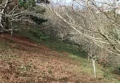 Sòl urbà en venda a la N-632, Berbes, ref.: TR369821 foto