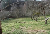 Sòl urbà en venda a la N-632, Berbes, ref.: TR369821 foto