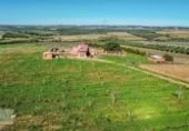 Industrial warehouse for sale on PLANTACION DE PISTACHOS Y NAVES PARA CRIA DE CABALLOS, Rociana del Condado, ref: TR369968 photo