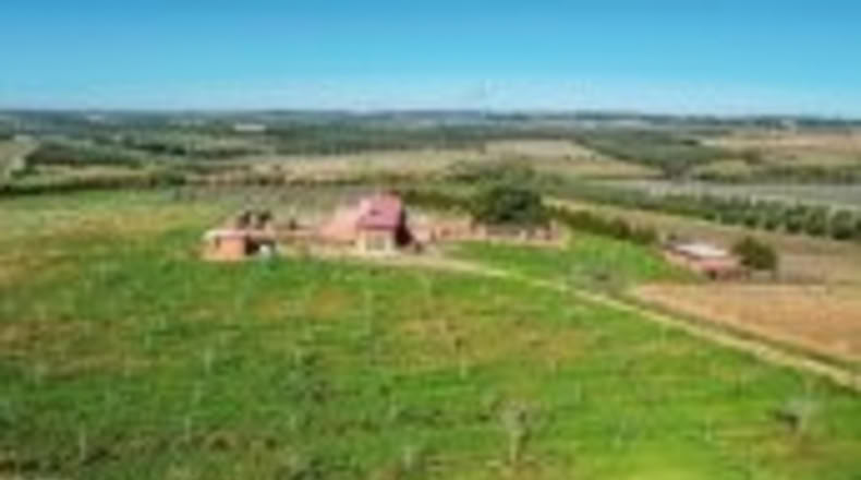 Huelva - Rociana del Condado - 65000m2