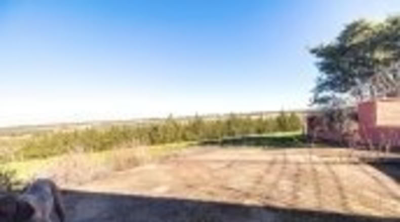 Huelva - Rociana del Condado - 65000m2