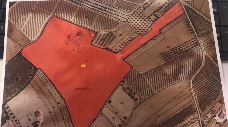 Huelva - Rociana del Condado - 65000m2