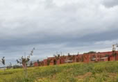 Industrial warehouse for sale on PLANTACION DE PISTACHOS Y NAVES PARA CRIA DE CABALLOS, Rociana del Condado, ref: TR369968 photo