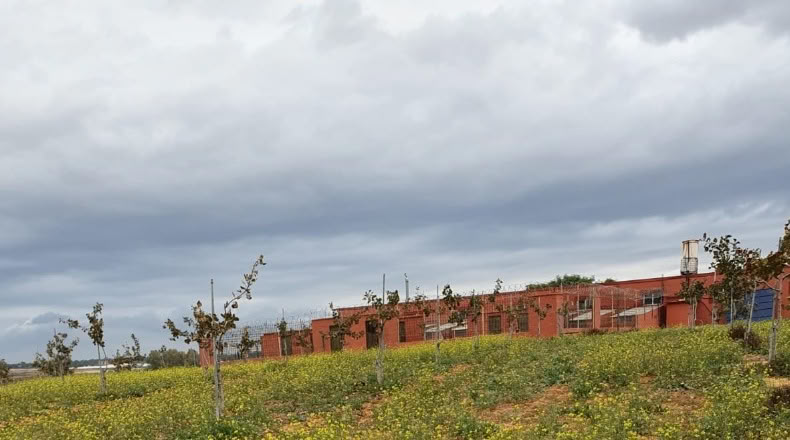 Huelva - Rociana del Condado - 65000m2